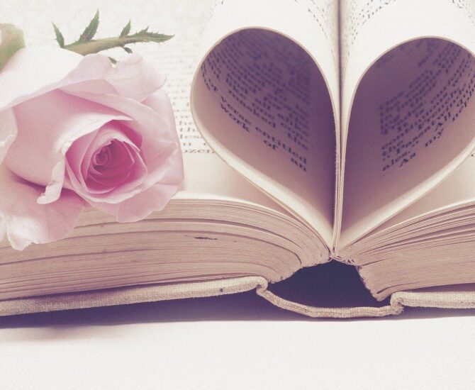 Photo d'un livre et d'une rose